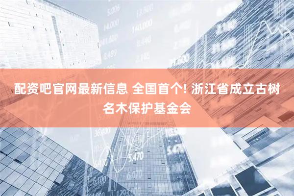 配资吧官网最新信息 全国首个! 浙江省成立古树名木保护基金会